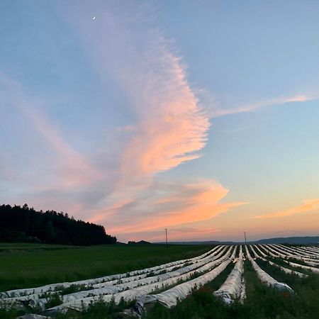 Wohnen Im Wasserschloss Sandizell シュロベンハウゼン エクステリア 写真