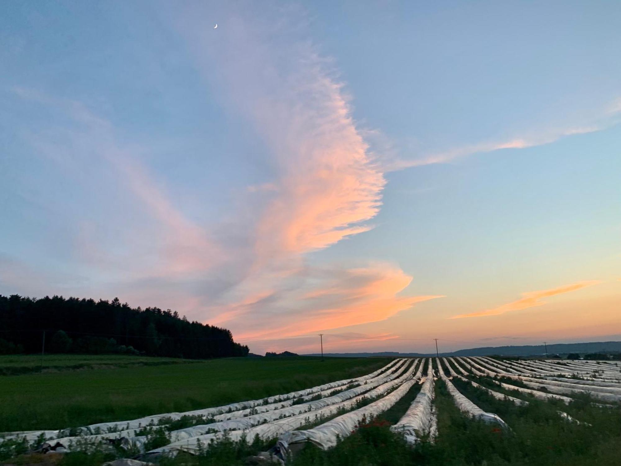 Wohnen Im Wasserschloss Sandizell シュロベンハウゼン エクステリア 写真